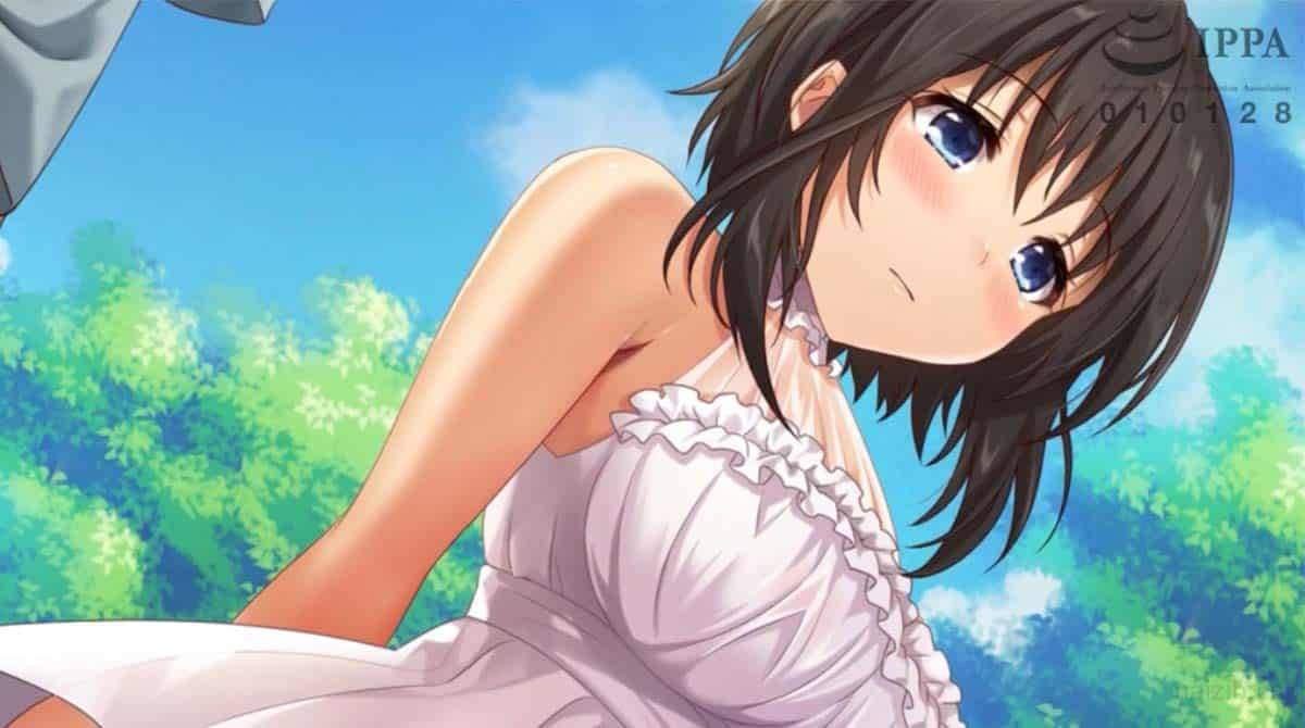 [SURVIVE MORE] 田舎娘と過ごすエッチな夏休み The Motion Anime