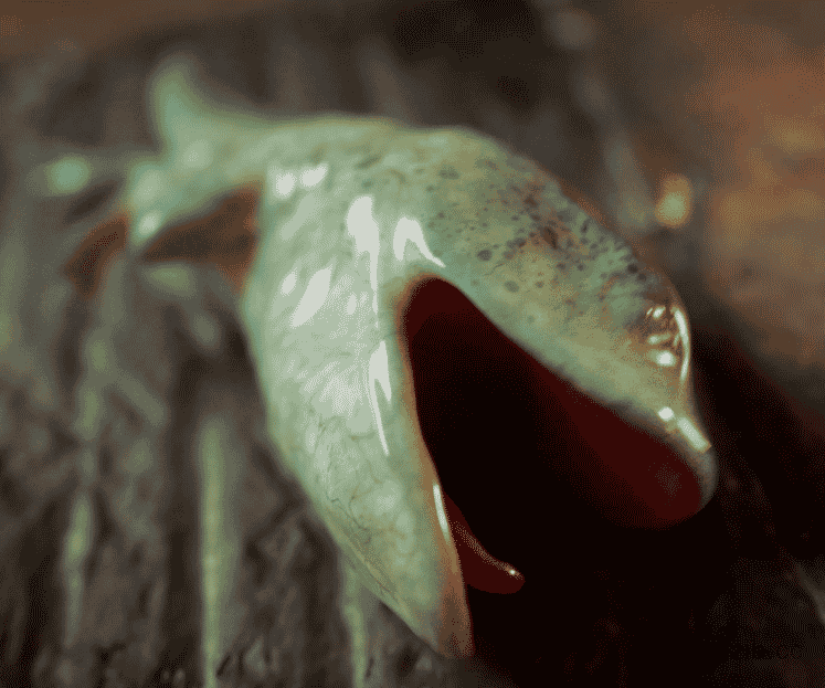 NullStudio大师：吉尔生蛙+全系列异种合集1080HD版[2月新作/3.6G]