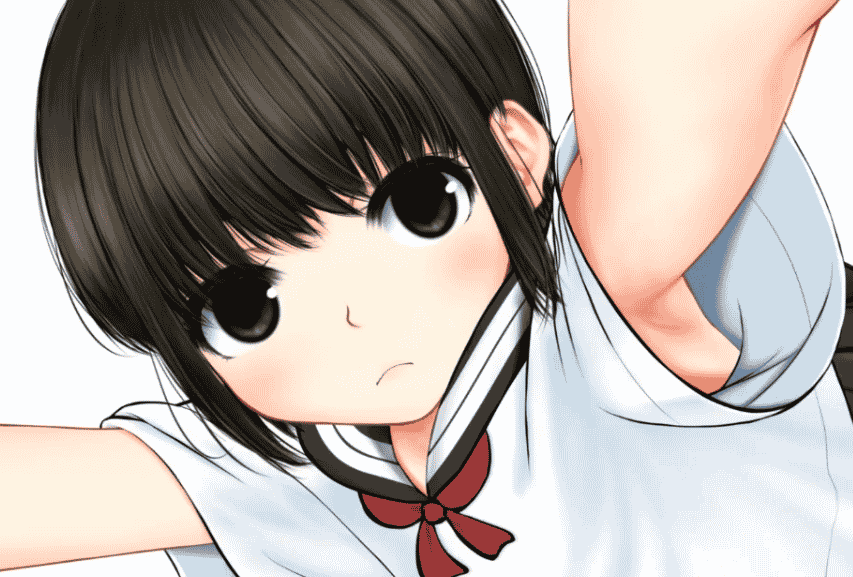 [せっかちヤモリ] H动画 总编辑 [1.96G]