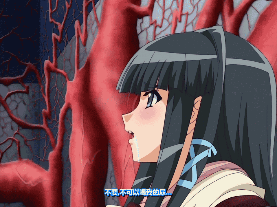 2001-2019年：丝袜系作品 步兵汉化大合集 [64部][16G]