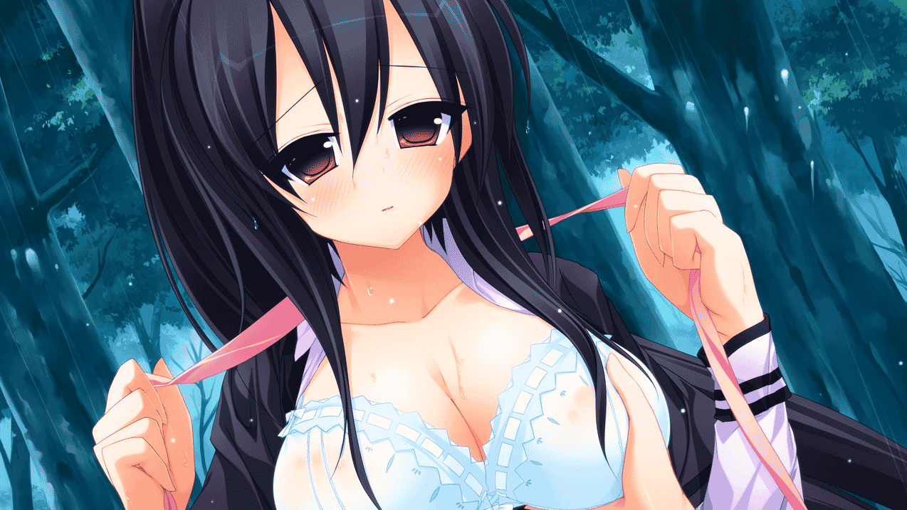 [日系] Tiny Dungeon～BLESS of DRAGON ~ 汉化硬盘版