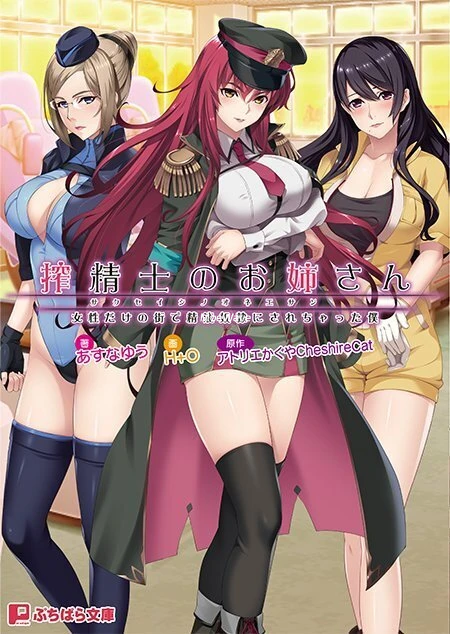 榨○士姐姐~在女性街道上被当成RBQ的我！AI汉化版+全CG存档 [新汉化/4.52G]