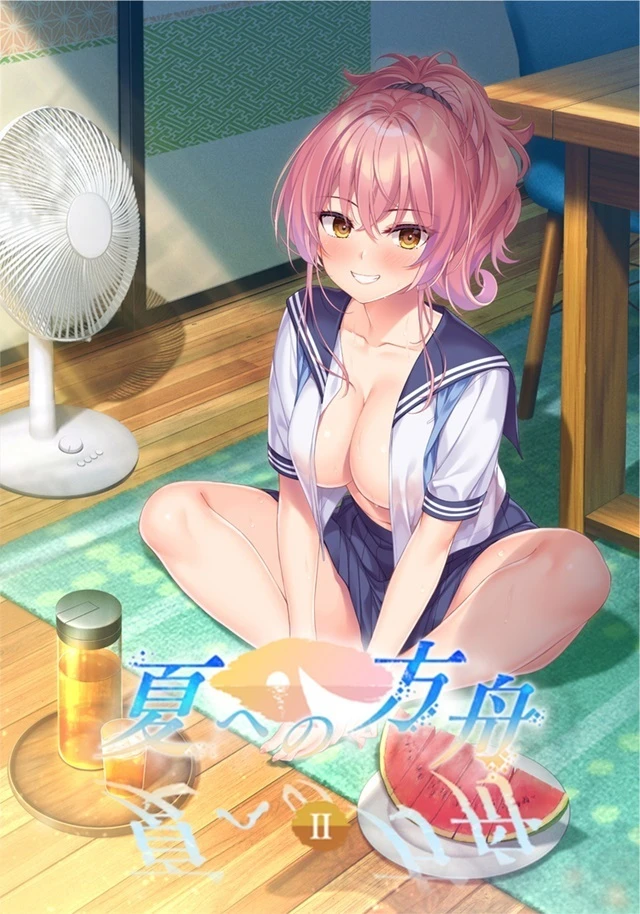 夏之方舟2 AI汉化版+全CG存档 [新汉化/2.34G]